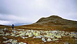 Vandrare hukar i snlblsten vid Hvlingsklppen.