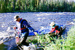 Piipiönjoki